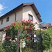 Casa de vanzare in Bragadiru